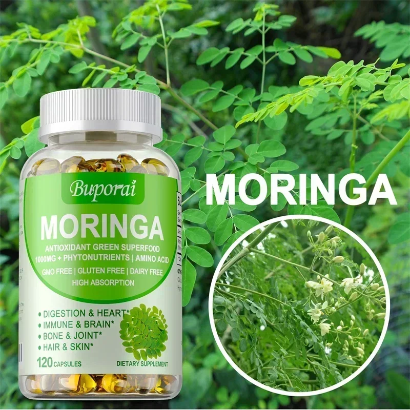 モリンガカプセル - 代謝を促進し、損傷した細胞の修復をサポ - Moringa Leaf Powder のレビューと価格