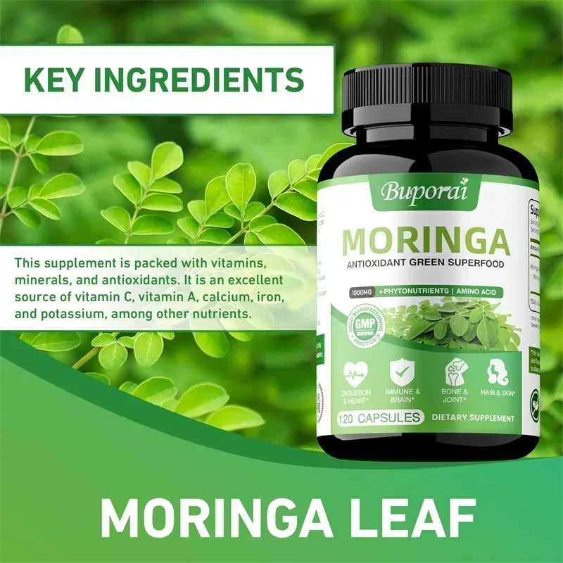 モリンガカプセル - 抗酸化物質、細胞の修復を促進、腸と消化 - Moringa Leaf Powder のレビューと価格